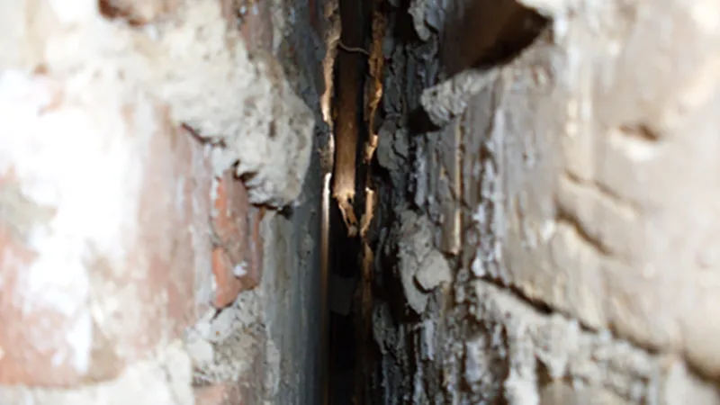 Endoskopie der Hohlschicht einer Hauswand.